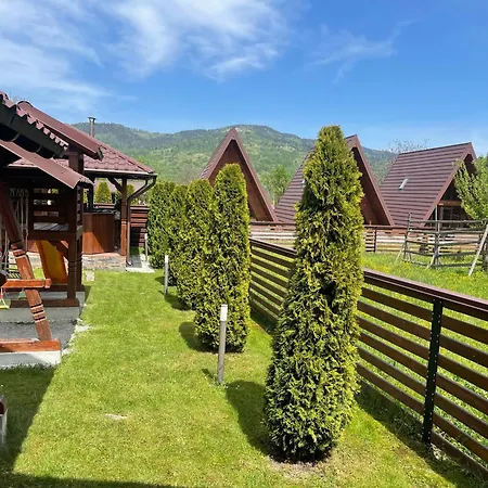 Gazde/Camere de închiriat Casa Belvedere Pietrosu Moisei