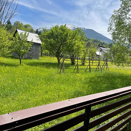 Casa Belvedere Pietrosu Homestay Moisei