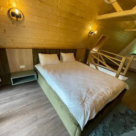 Homestay Casa Belvedere Pietrosu